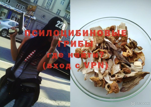 стафф Арсеньев