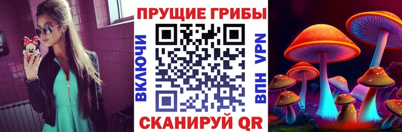 Галлюциногенные грибы Psilocybine cubensis  где можно купить наркотик  hydra онион  Сунжа 